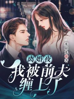 精彩小说青云美人图