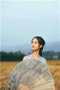 高质量小说阅读我的总裁白富美老婆