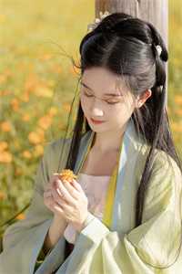 完整作品阅读大明：整顿朝纲，从抄家贼臣开始