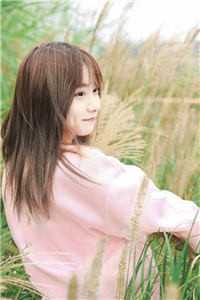 祁教授借个婚全文浏览