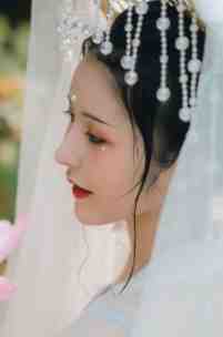 绝世女神医：嫡女不嫁全集小说阅读