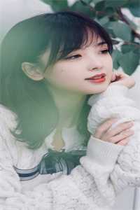 畅销书目背叛推理：完美妻子背后的秘密