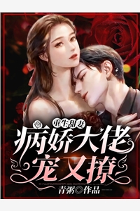我的绝色老婆
