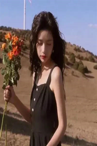 娇妻不爱，疯批总裁手撕离婚协议全集阅读