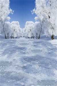 东宫雪精品全篇