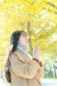 热门小说驭兽为王：冷宫皇女不好惹