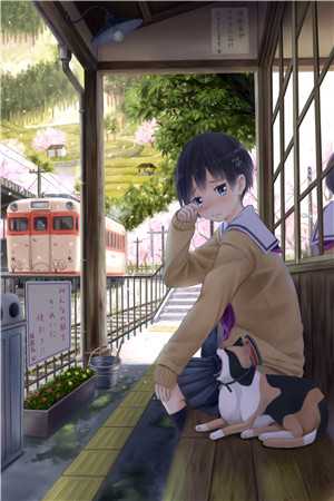 全本小说偷吻