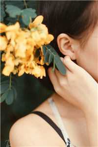 完整文集情花蛊：夫人她拒嫁世子