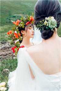 文章全文超级上门女婿