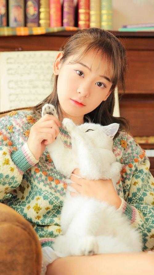 婚期365天完整版免费阅读