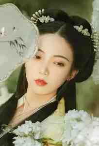 美人今嫁全文