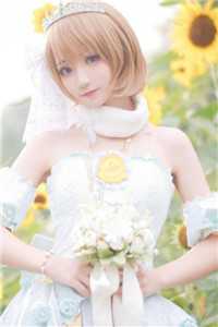 全章节闪婚了影帝