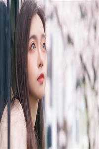 离婚后，我成了阴鸷大佬的白月光全集小说推荐