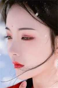 召唤系统：我登顶诸天万界精修版