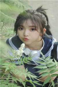 陆总，夫人说这婚迟早要离完整章节阅读
