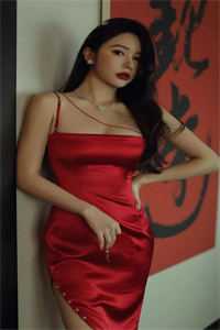 畅销书目背叛推理：完美妻子背后的秘密