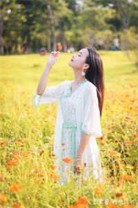 加彩礼？反手娶了小舅子女神，白手起家畅读精品小说