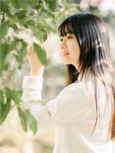 追回夫人后，疯批他宠妻上瘾畅销书目