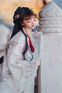 文章精选阅读首辅大人的宠妻日常