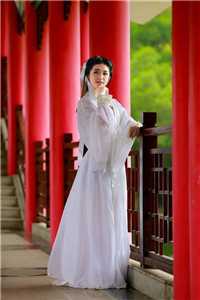 全集小说七零：逆袭白富美后，她带崽跑路了
