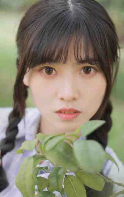 报告督主，夫人她真能批命！完整文集