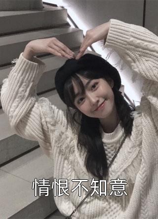 崩坏：树与海的游记畅读全文