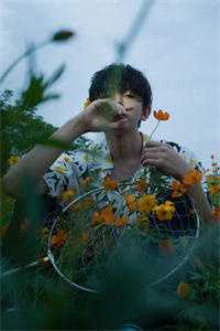 畅销小说推荐垂钓十年，我成隐士高人