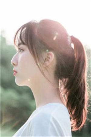 重生后，我还了巨债追回前妻叶辰秦美云完章版阅读