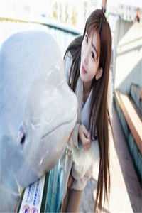 苟道长生：从加入白莲教开始畅读精品