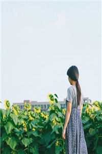 入赘为婿后，他只想吃软饭完结版