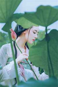 全章节阅读强取豪夺：禁欲大佬独宠我一人