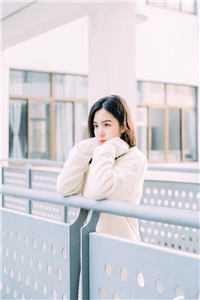 被告无证行医后，他成了兽医一把手热门小说