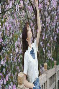宫闱花