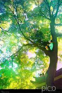 全章节阅读宿宿我啊穿越背景贼硬完全躺赢小说