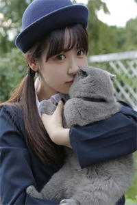 北美悍警：从洛城巡警开始