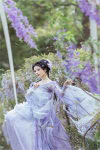 惊！我竟是闪婚上司的白月光温浅陆寒舟