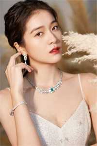 我家王妃比我帅