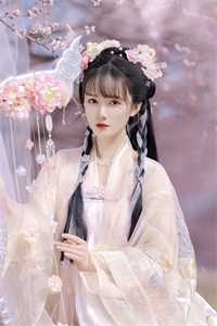 红楼之公子逍遥