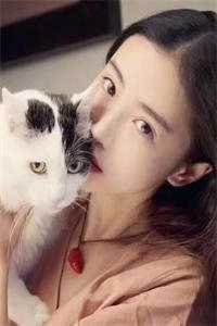 顾晴陆汀州
