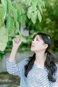 开局流放：带着系统和嫂子去种田