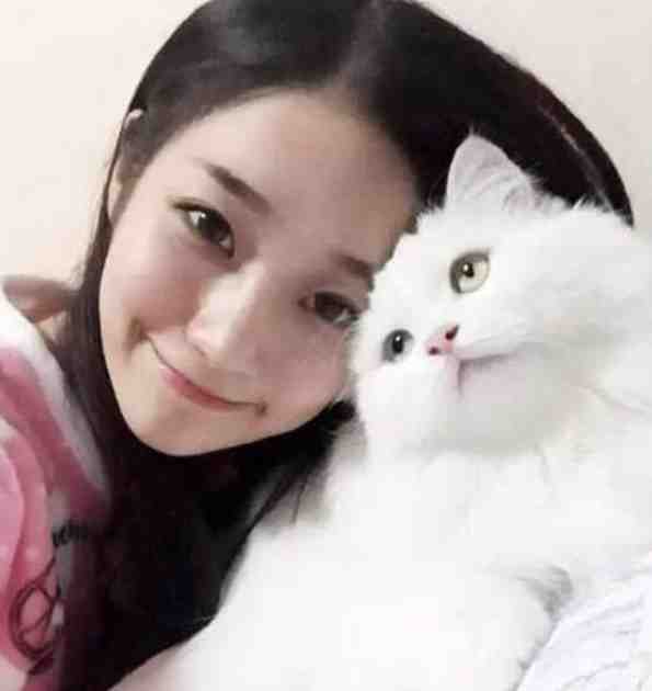 卧底毒贩集团，我惨死湄河