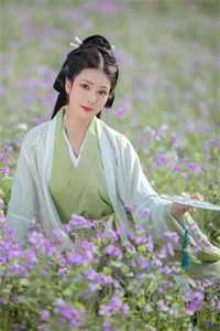 青云美人图