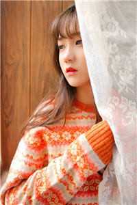 农村女婿