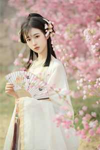 穿越：仙界第一炼丹师横行税务局