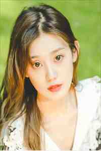 红楼之公子逍遥