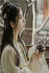 我的九个女神老婆