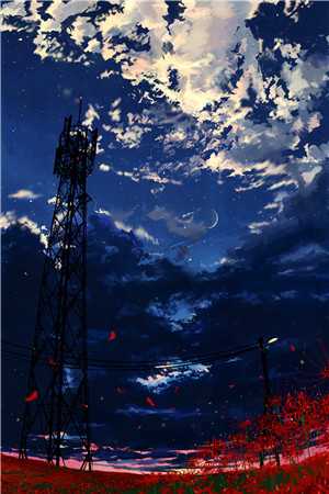 权途红颜
