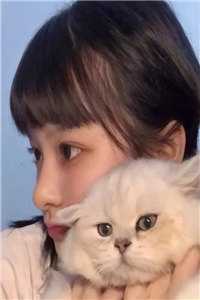 附庸风月