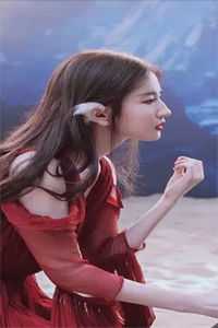 玄蛇在侧