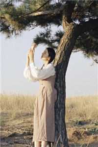 小说慕香吟